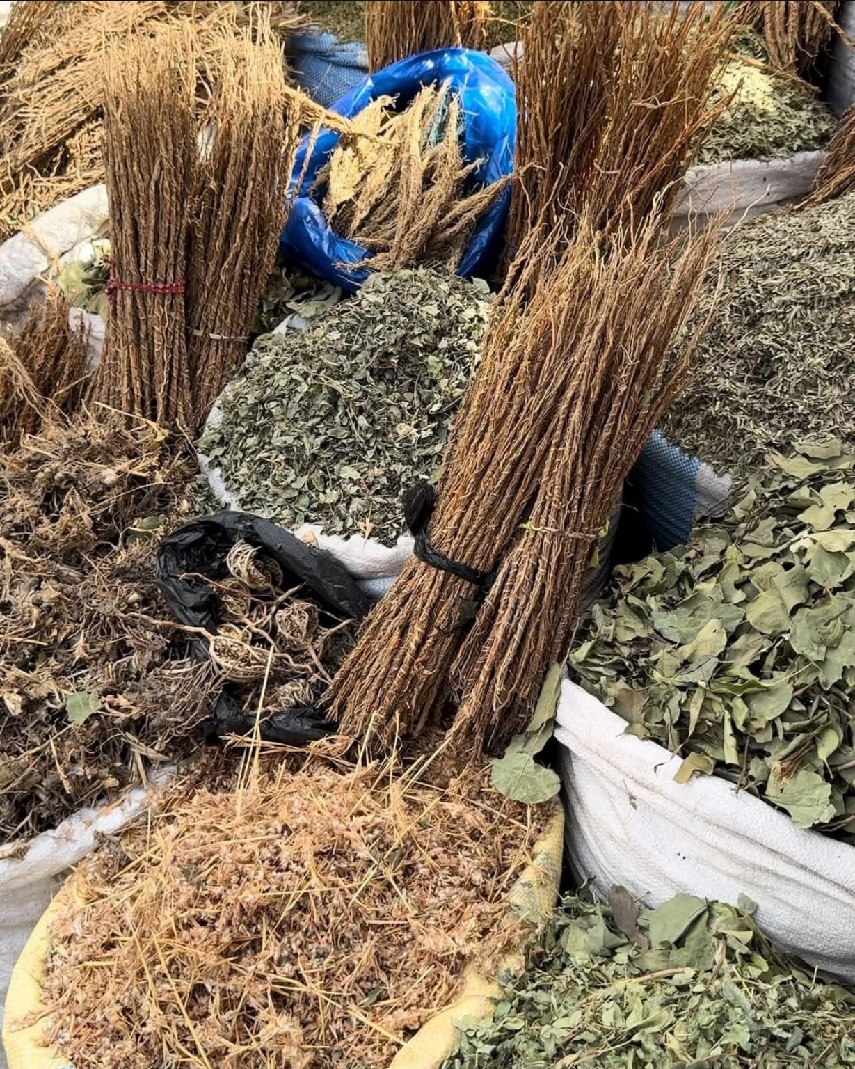 African Herbs Import featured banner 2