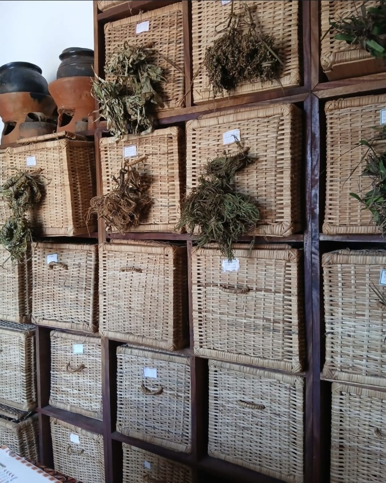 African Herbs Import featured banner 3