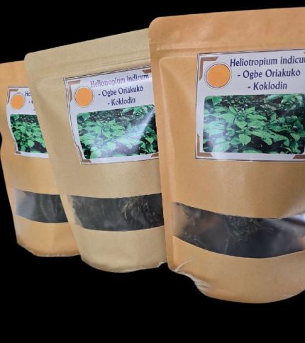 Hellotropium indicum leave Ewe ogbe ori akiko